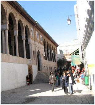 Collection de Jamila